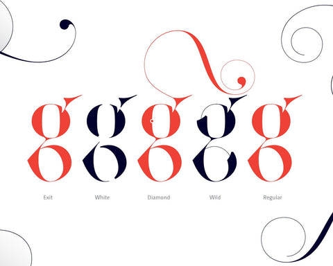 Sexy lowercase g font - Made with the fashion Lingerie Typeface by Moshik Nadav Typography 